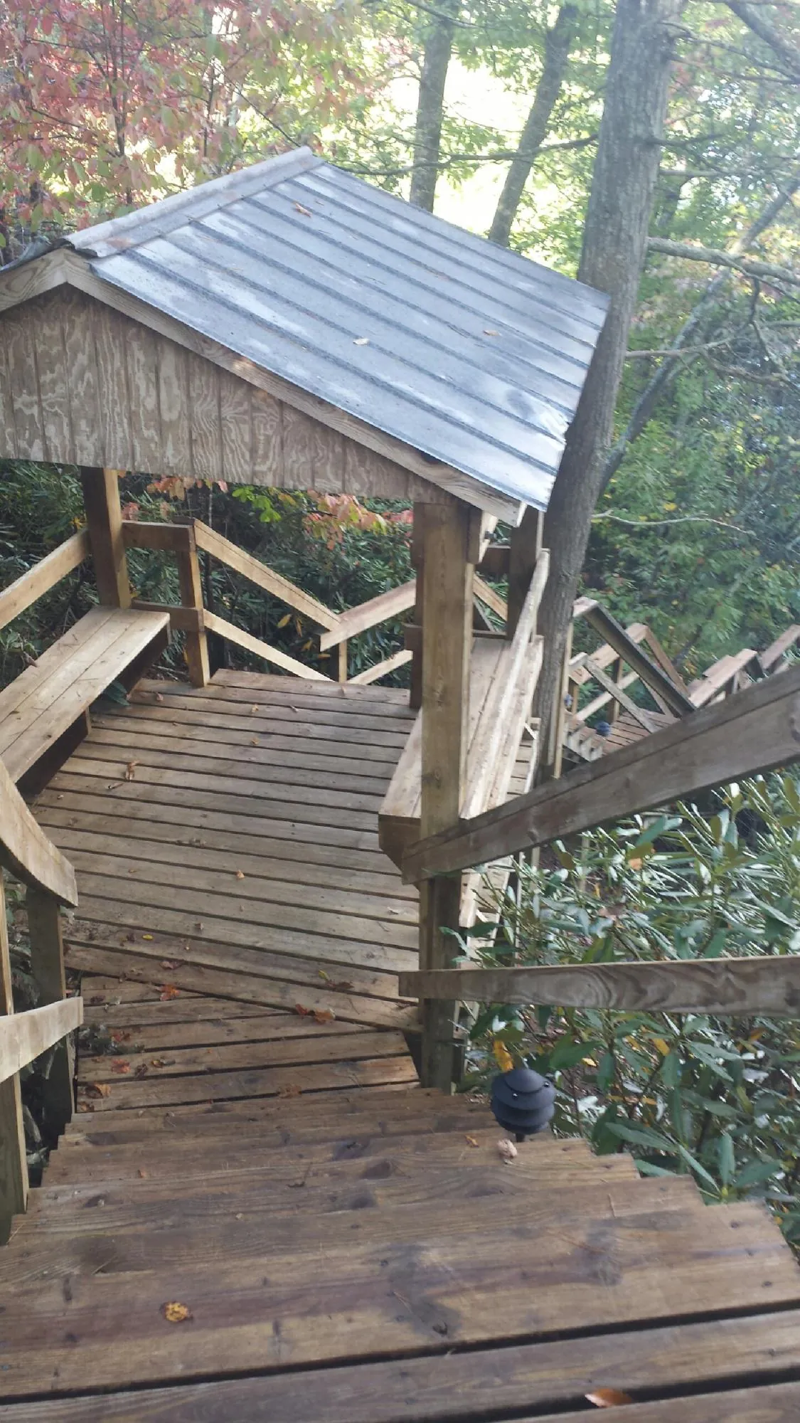 Metal roofed shelter over wooden steps on a wooded walkway — Skylight Repair & Installation work by our crew in Barnwell